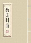 道君小说